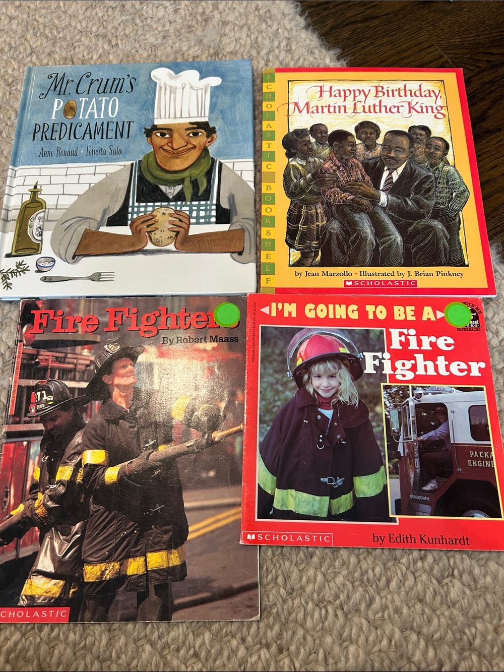 Children’s Book Collection (Ten Books) Non-Fiction Books